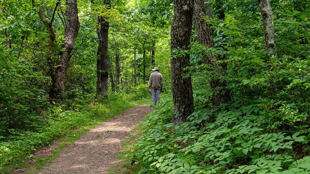 Retired Volunteer-in-Parks photographer heads down the trail on Blackrock Summit.