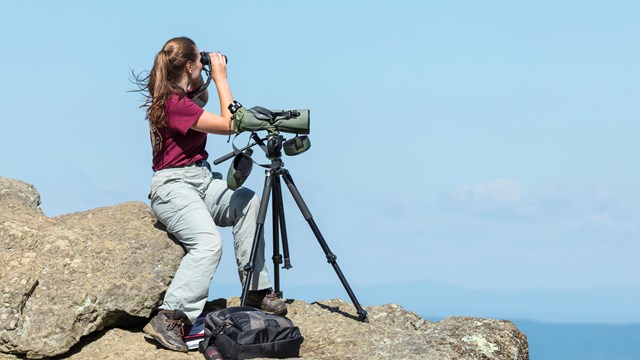 ACC intern looking into distance with scope.