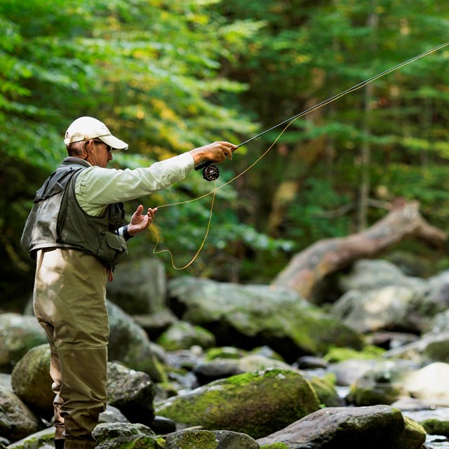 Man flyfishing in a stream 