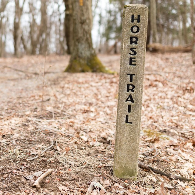 A concrete post for horse trails.