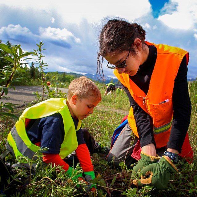 Young volunteers removing invasive plants.