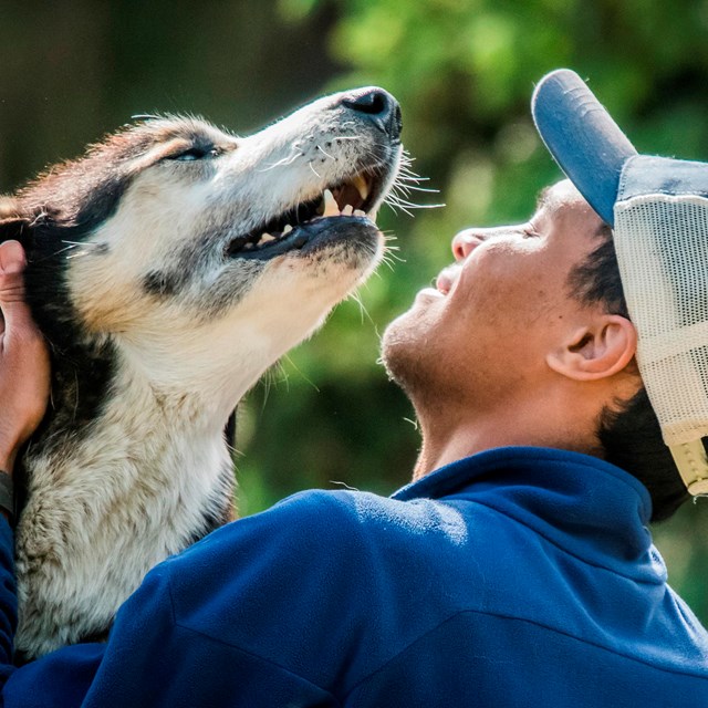 a smiling man in a ballcap pets a husky