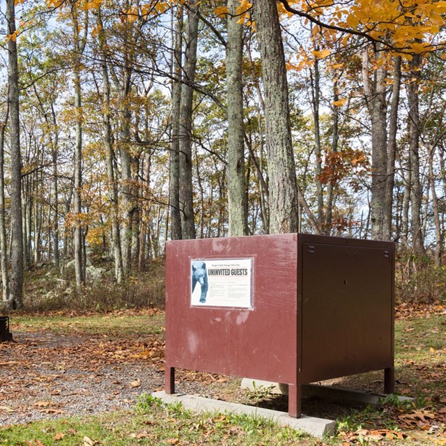 A brown metal box sits in front of a row of picnic tables in the woods.