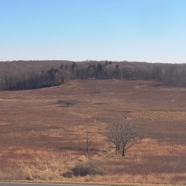 A section of Big Meadows during late fall. 