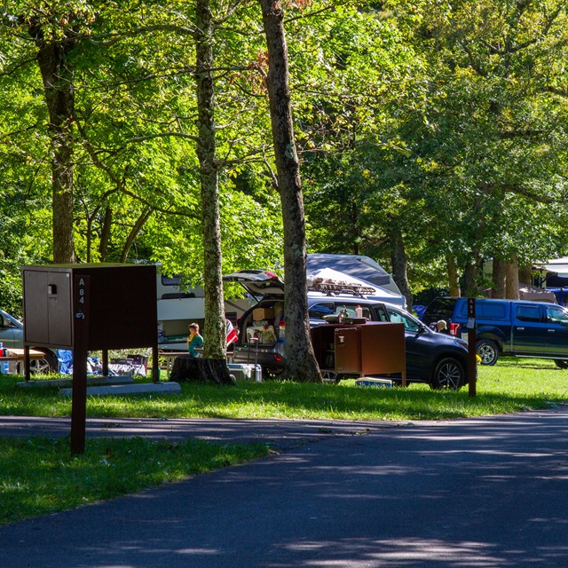 A line of cars and campsites at Mathews Arm.