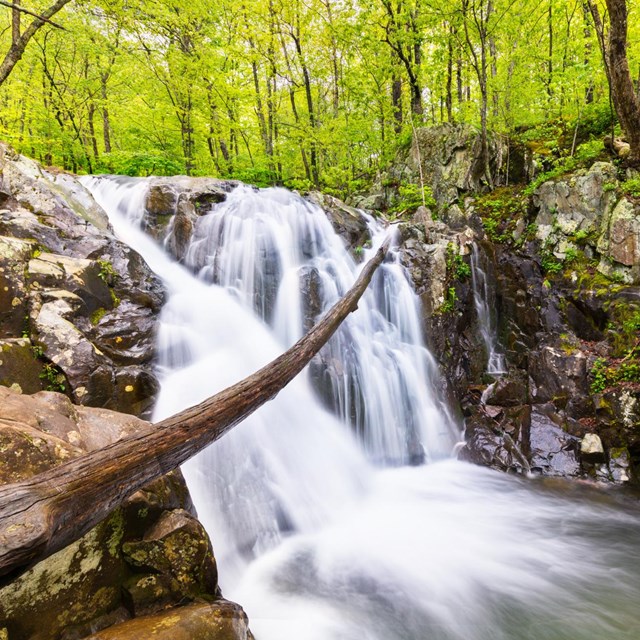 A waterfall cascading down rocks.