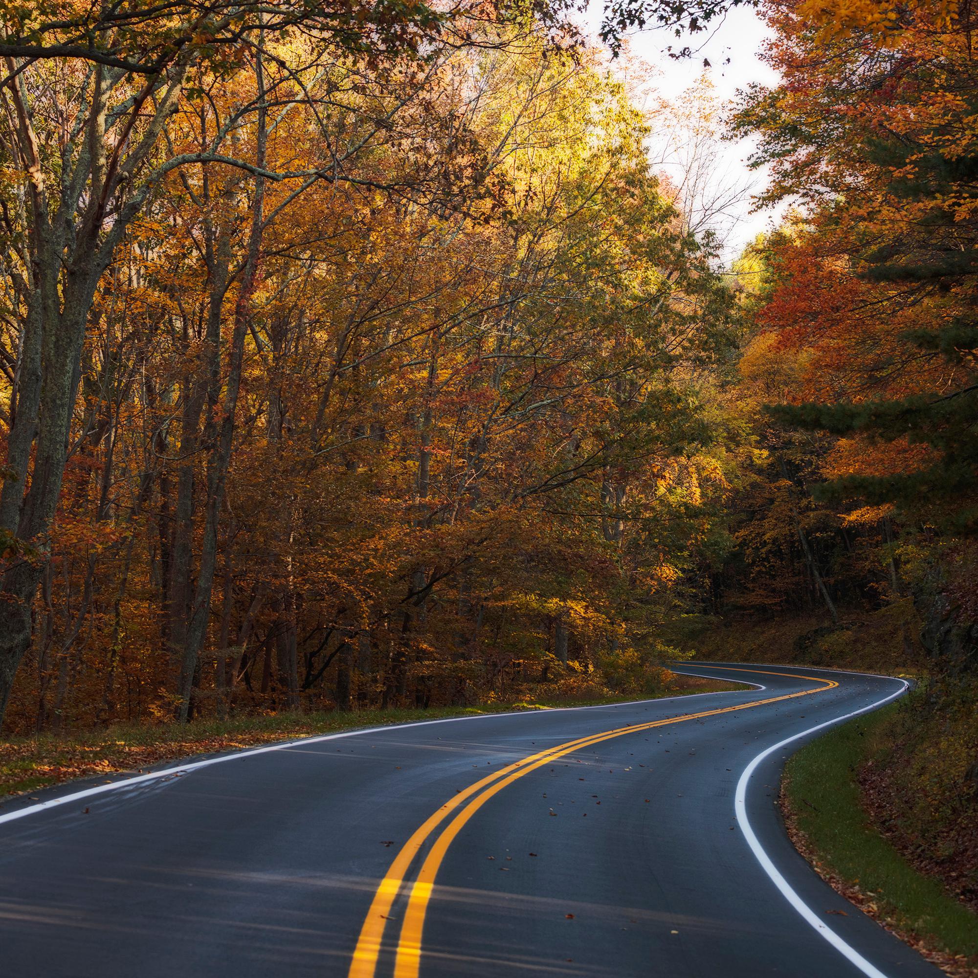Photo of skyline drive and fall colors.