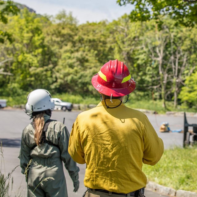 Maintenance workers and machinery