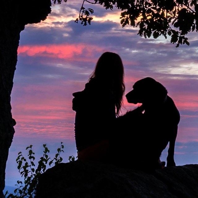 A silhouette of a dog and a woman sitting on top of a rock against a purple and red sunrise.