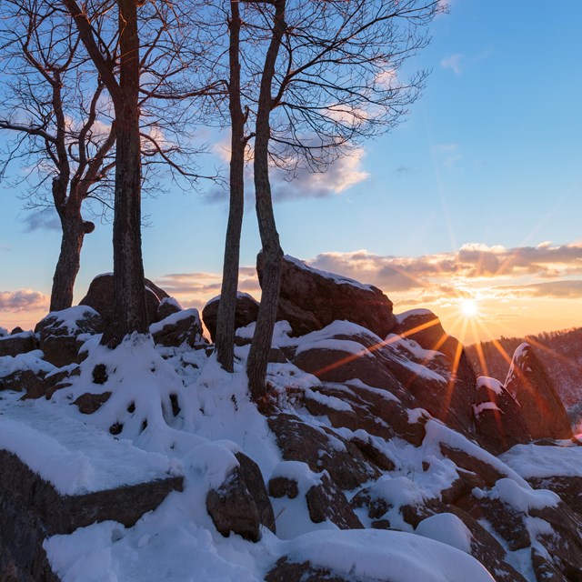 Snow covered rocks and trees stand in front of a radiant sunrise.