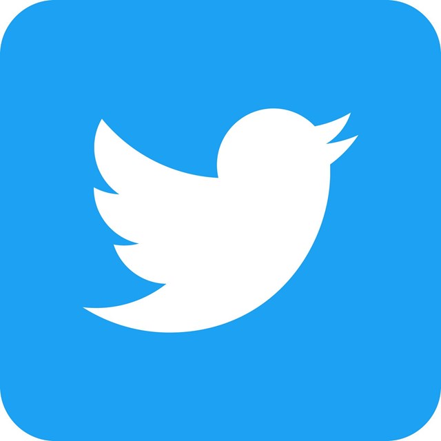 The Twitter logo.