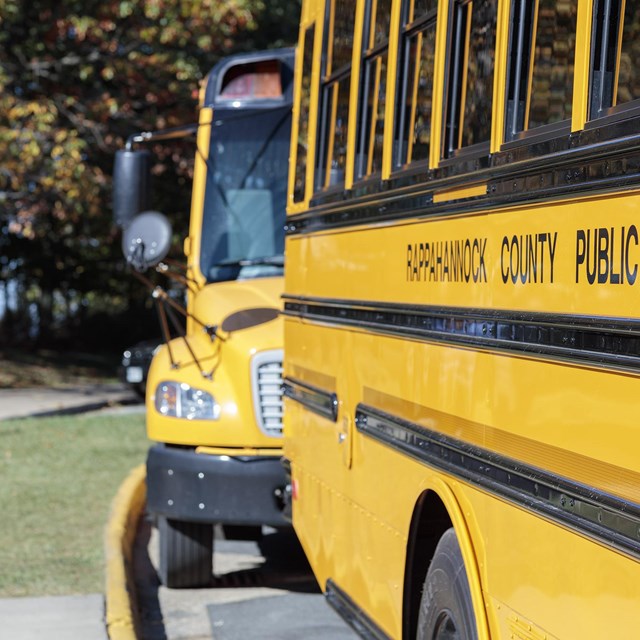 A school bus outside.