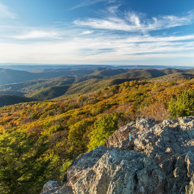 A rock cliff overlooking a valley below bathed in yellow fall colors.
