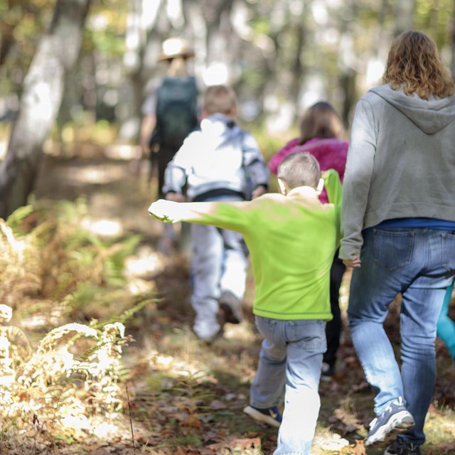 A student and teacher holding hands walking with a class in the forest.