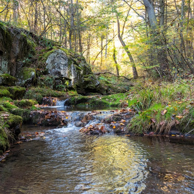 Image of Tanners Ridge