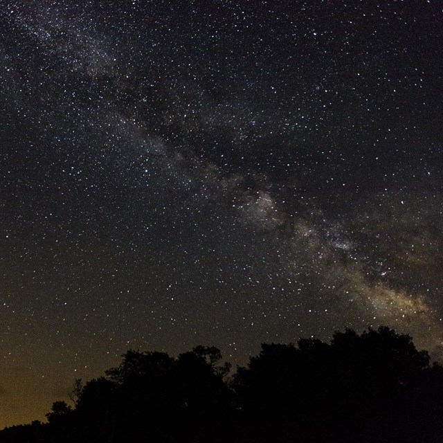 A night-time view over a dark meadow with trees silhouetted at the horizon and stars in the sky. 