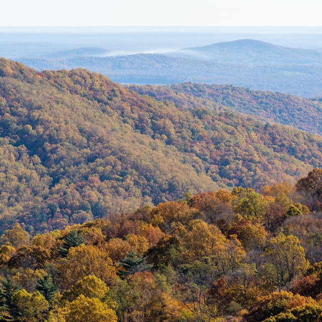 Mountains covered in fall colored trees