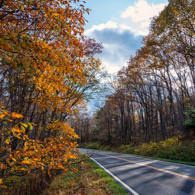 The Skyline Drive in fall.