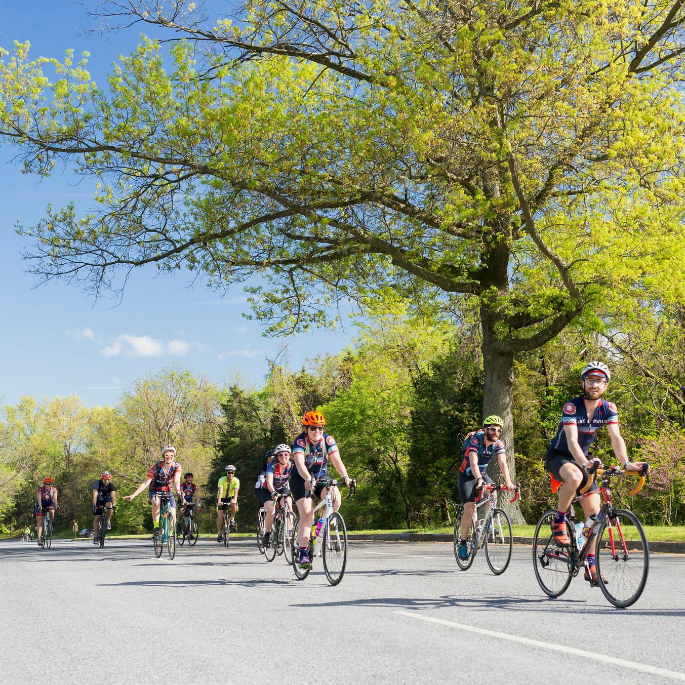 Bicyclists along Skyline Drive