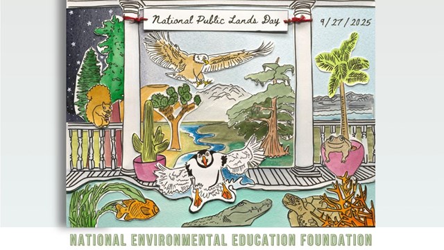 Artwork celebrating NPLD
