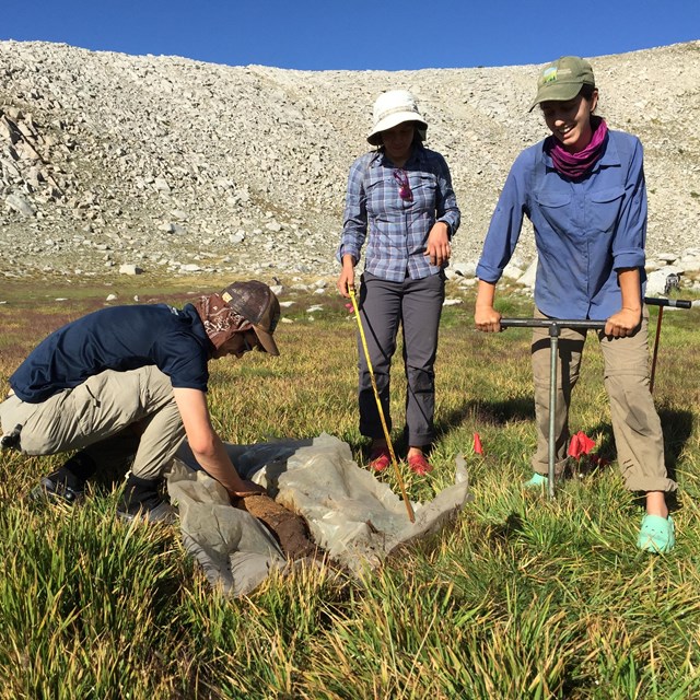 Three scientists sample the soil profile of a mountain wetland.