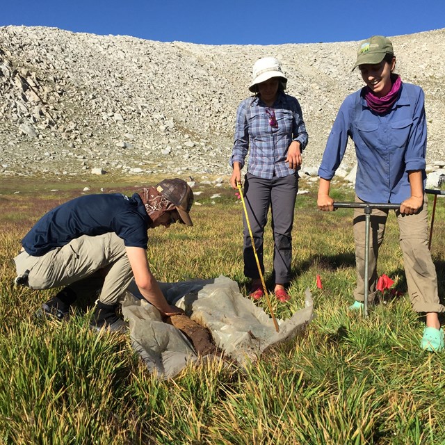 Three field biologists collect vegetation data from a mountain wetland.