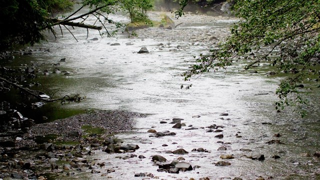 River in the rain