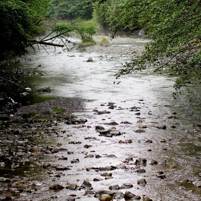 River in the rain