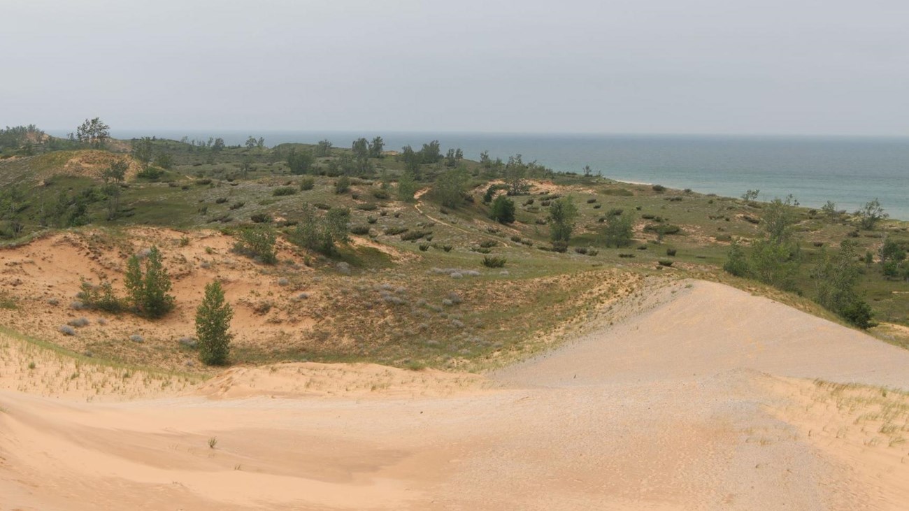 An expanse of plant-covered sand dunes sits in front of a large blue lake.
