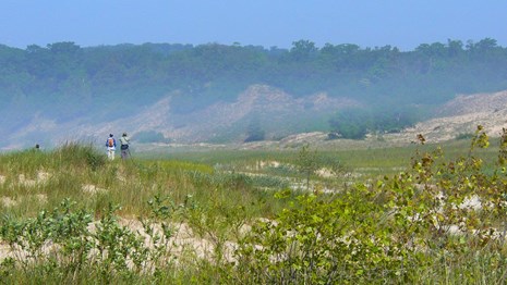 Two hikers on the shrub-covered dunes of NMI