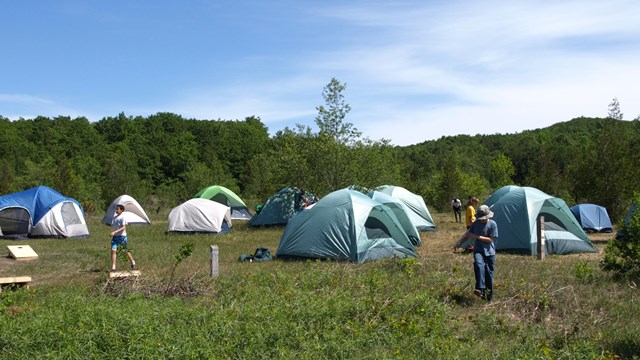 Many tents make a village in a group camping site.