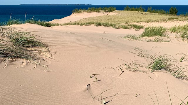 A large mass of undulating sand with sparse green grass and Lake Michigan in the background.