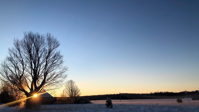 A sunrise behind the silhouette of a bare tree. A dusting of snow is on the ground. 