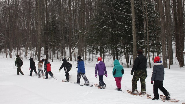 A line of students walk through a snowy forest on snowshoes.