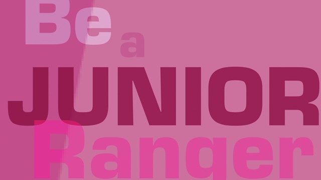 Pink box with words Be a Junior Ranger and the outline of a badge