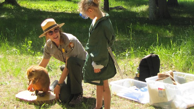 A group of children look up as a park ranger points up.