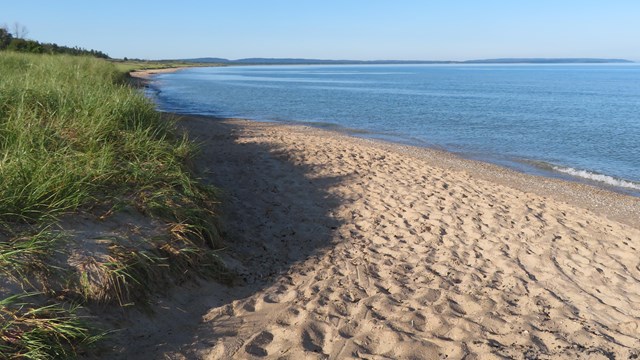 A sandy beach next to a large lake