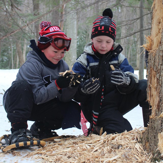 Two boys with snowshoes examine a tree and woodchips.