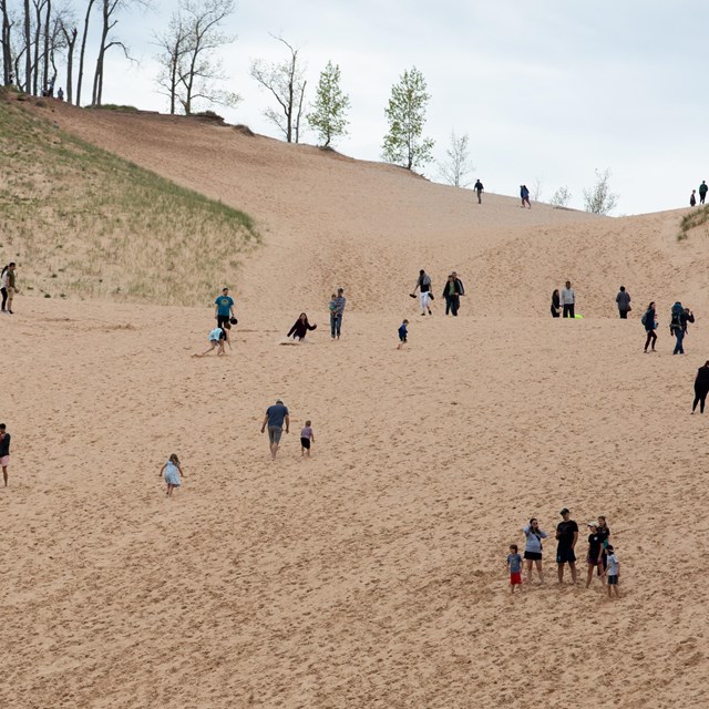 People climb up a tall sandy dune.
