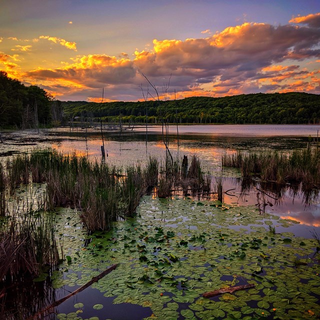 A lake at sunset