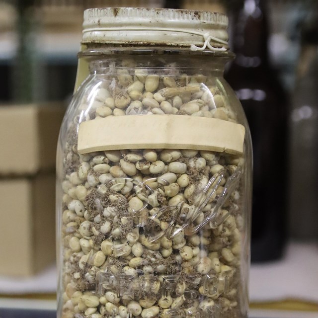A jar of small white beans sits on a shelf. The label is unreadable.