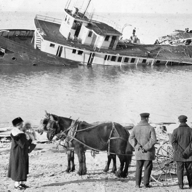 Shipwreck off shore with people and horses on the beach