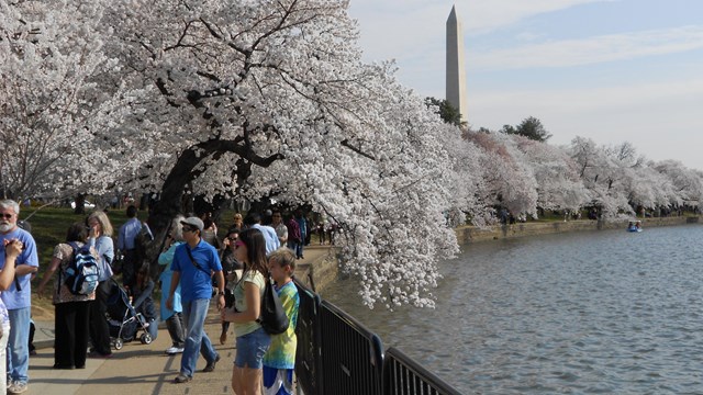 visitors at National Mall and Memorial Parks in Washington D.C.