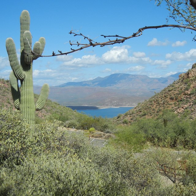 Tonto National Monument