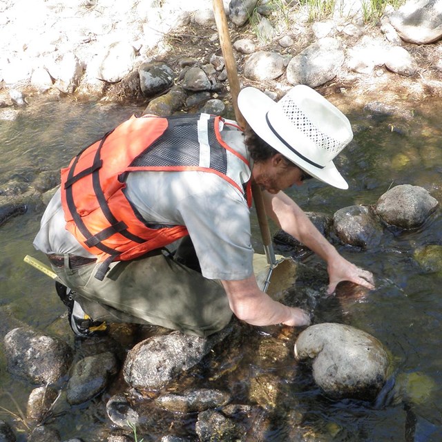 Ecologist using a kicknet