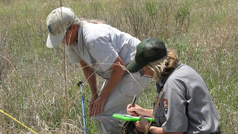Two scientists in a grassy field, one observing, the other taking notes