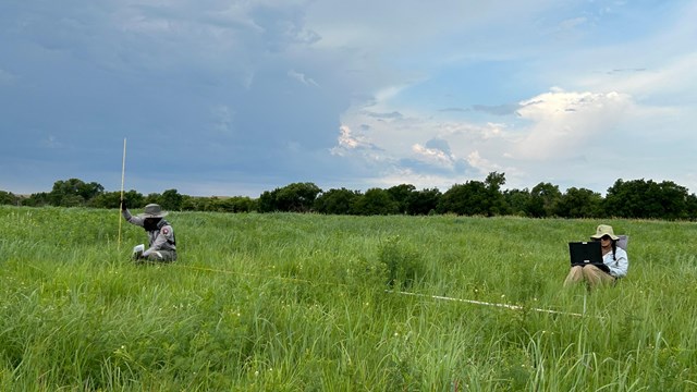 One scientist measuring plant height along a tape and one scientist with a computer recording data.