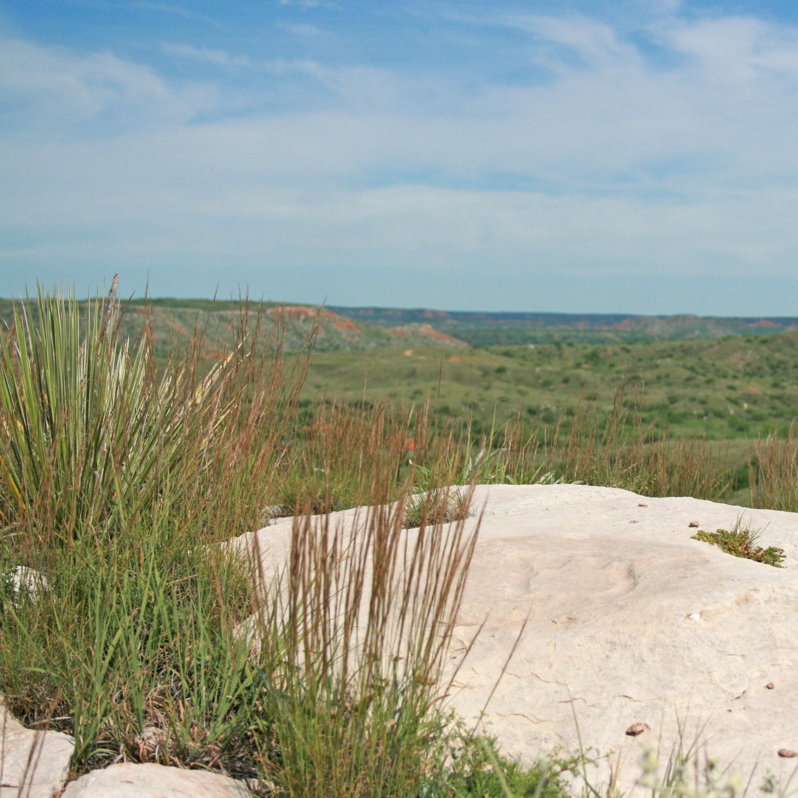 White rock with a turtle petroglyph overlooking a valley and mesas in the distance