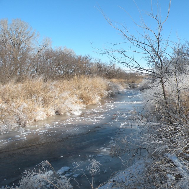 Washita River in winter, with a dusting of snow on the surrounding vegetation