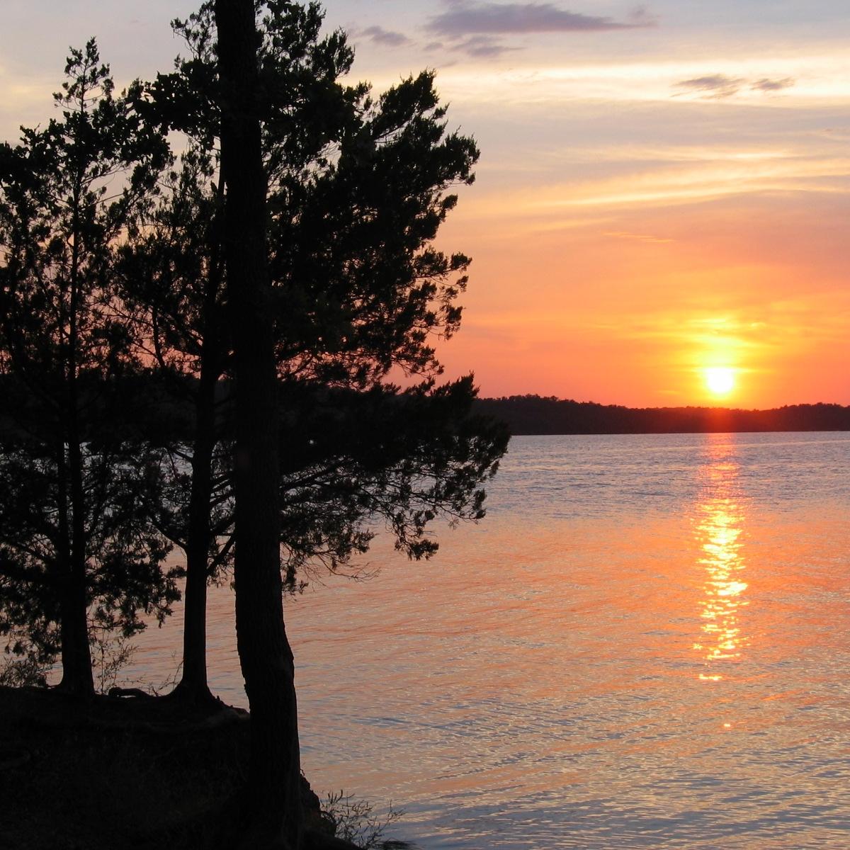 Tree silhouettes in front of a sunset reflecting on a large lake
